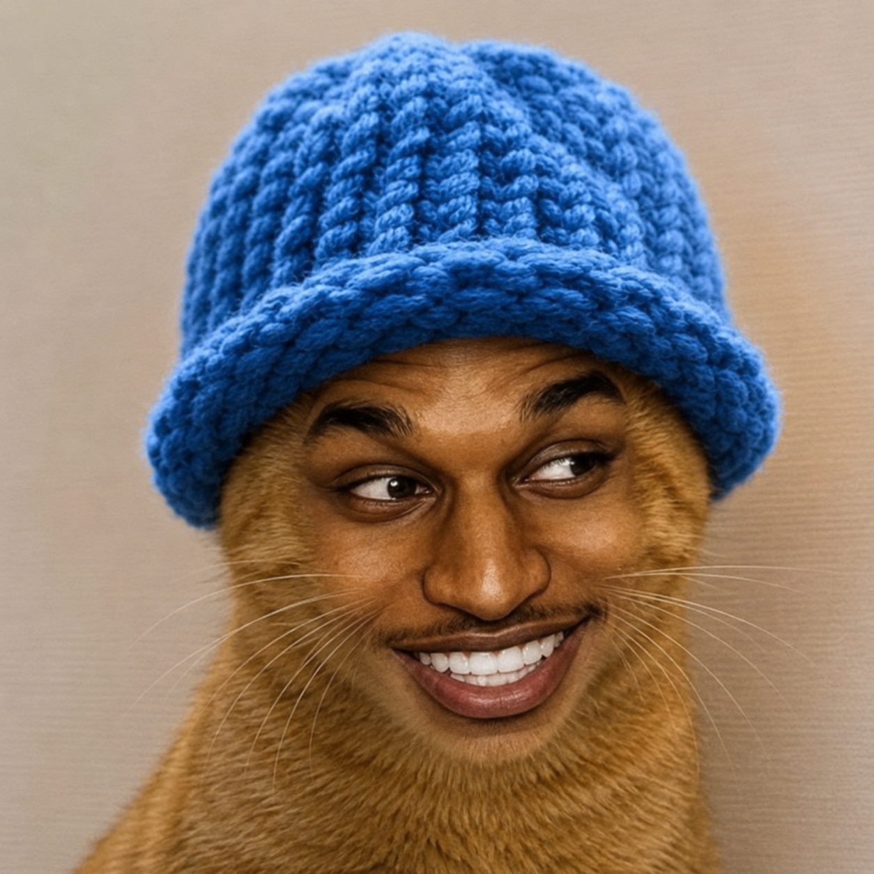 The $ANSWIF mascot: a cat wearing a blue knit beanie